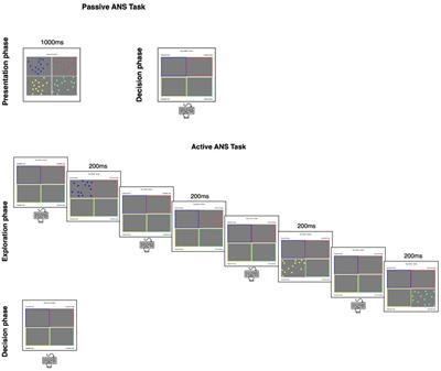 Understanding the social–emotional components of our “number sense”: insights from a novel non-symbolic numerical comparison task